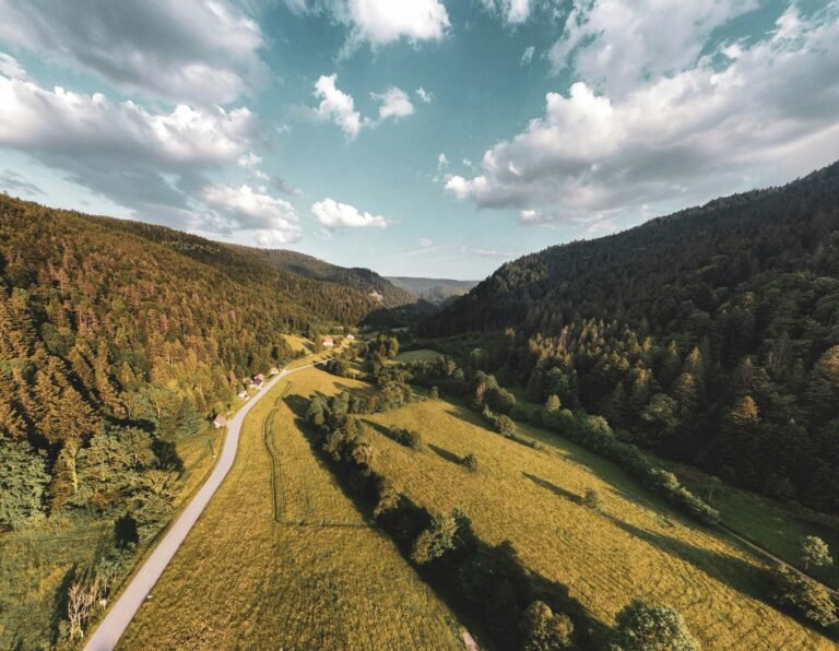 aerien vallee automne